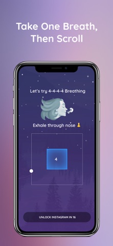 Pause Breathe Reflect screenshot