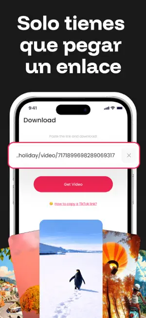 SSSTik Lite: Descargar Videos iPhone screenshot 1