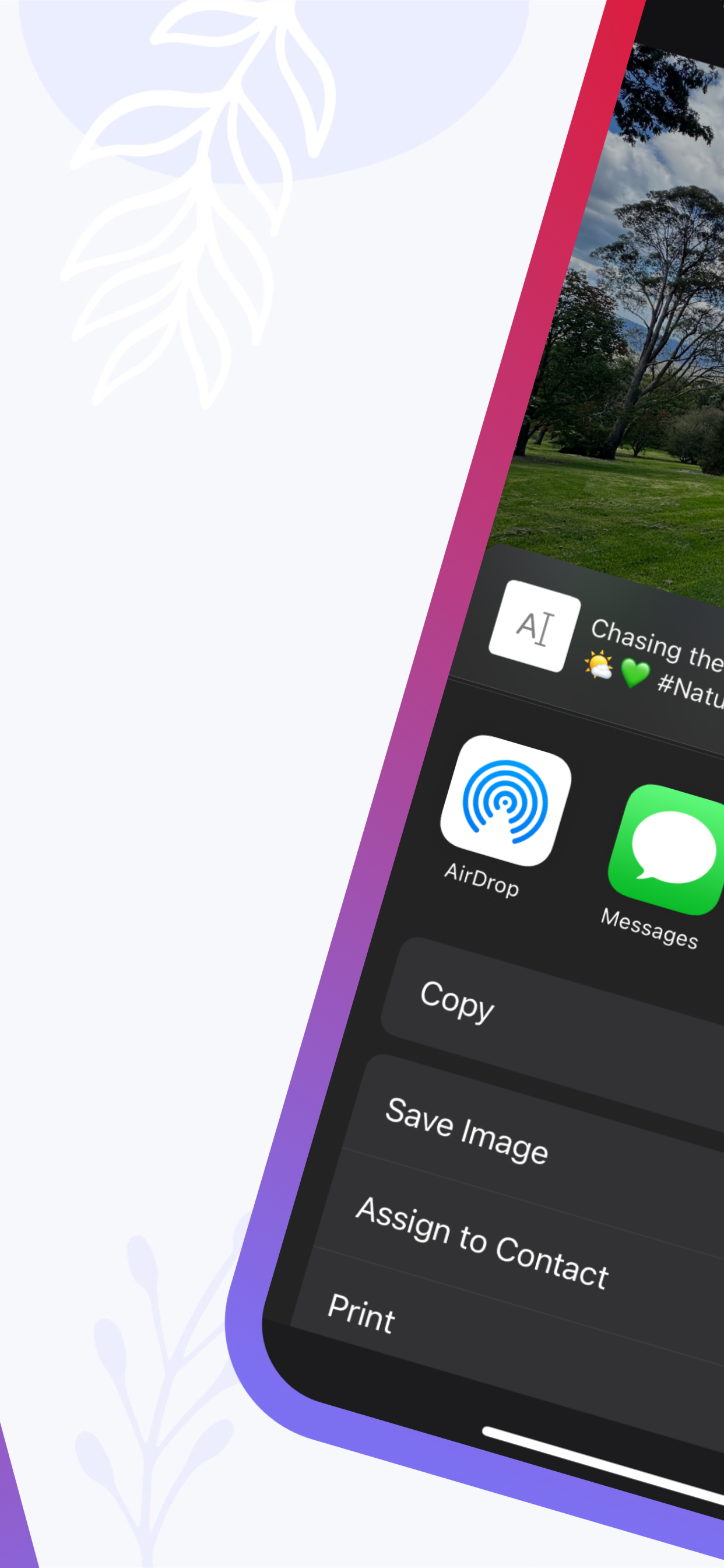 AI Captions for Photos