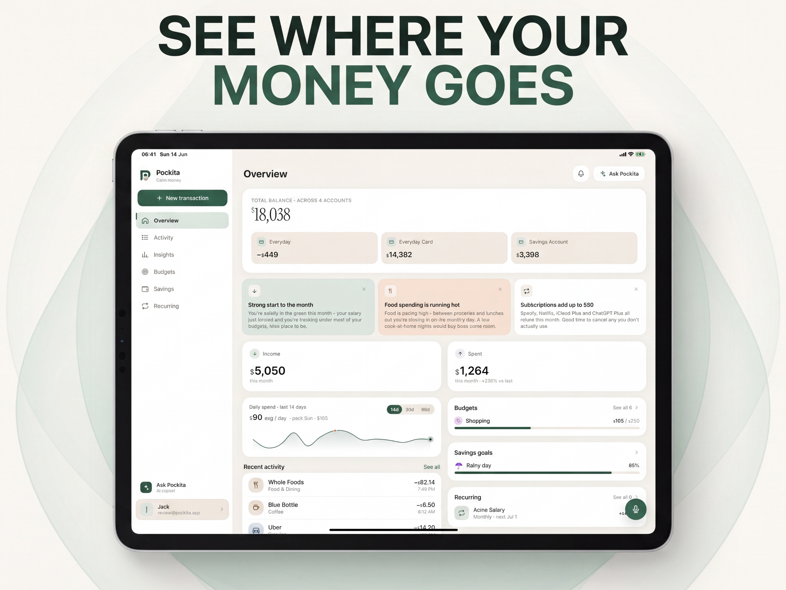 Pockita: AI Money Tracker screenshot 7
