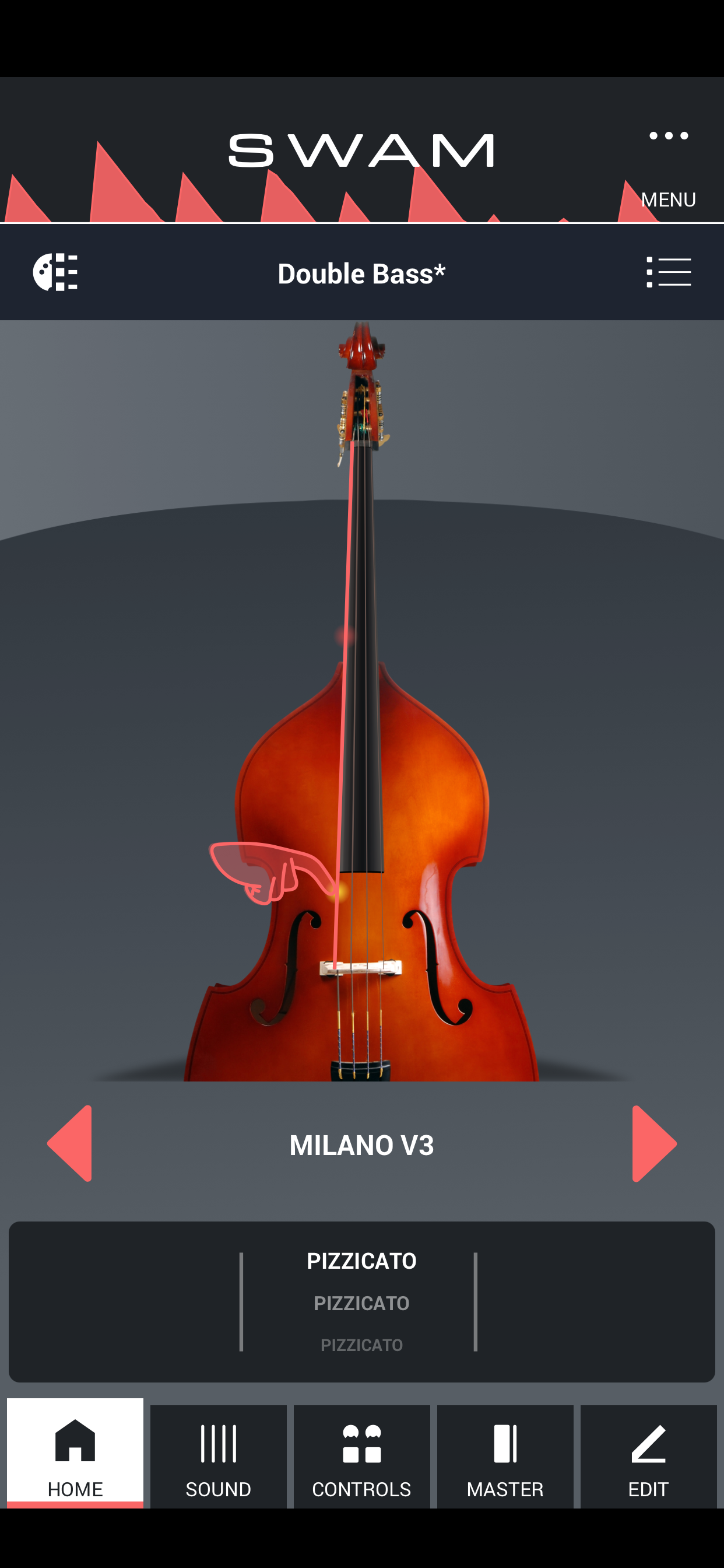SWAM Double Bass