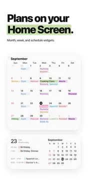 Caly - Calendar & Widgets screenshot 2