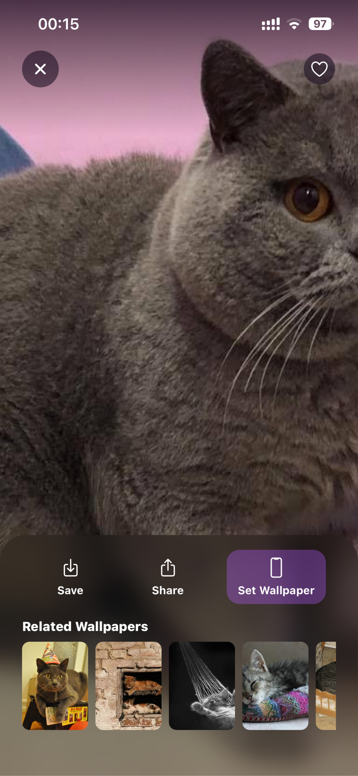 Catsy: AI Cat Wallpapers screenshot 4