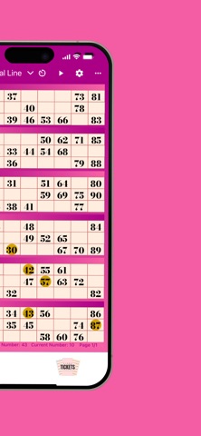 Lucky Bingko Screenshot 6 of 6