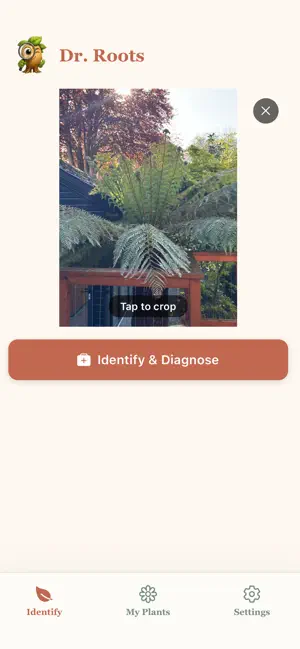 Dr Roots: Plant Identifier screenshot 3