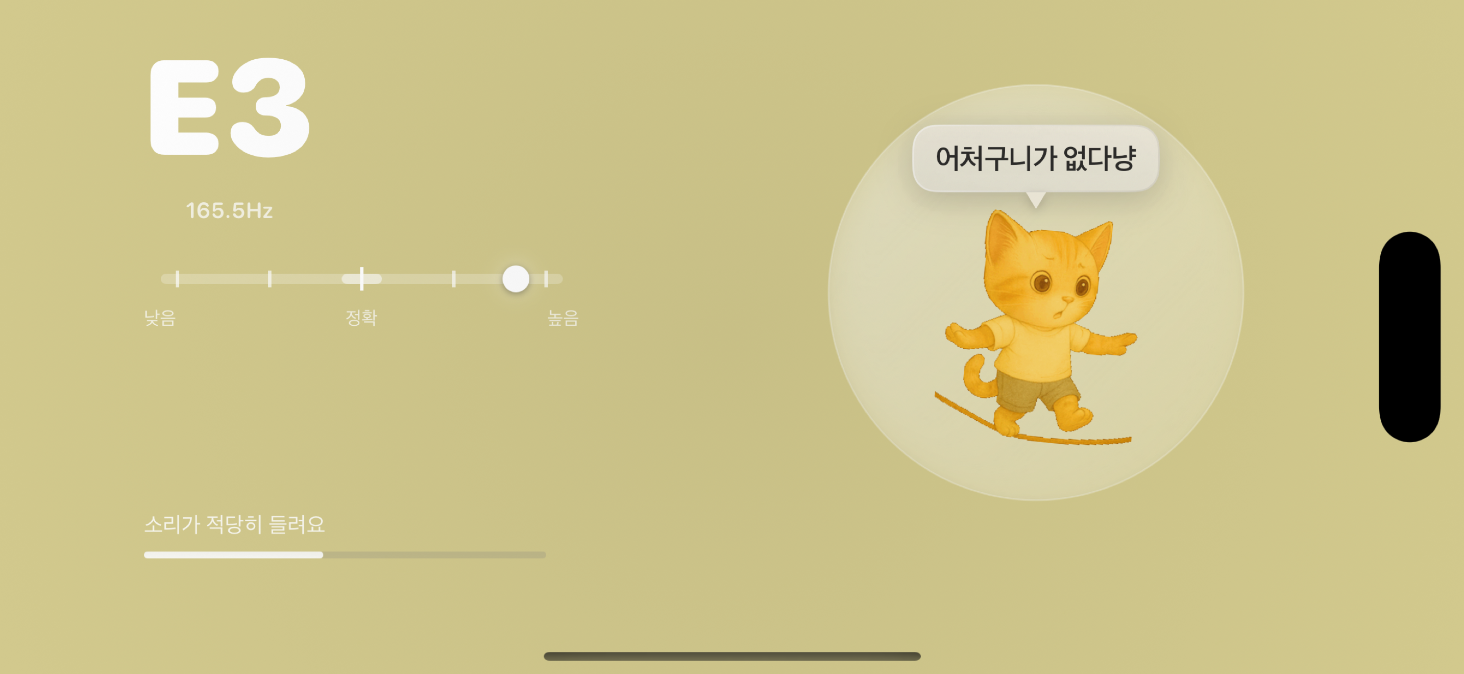 Neko Tuner – Guitar & Bass