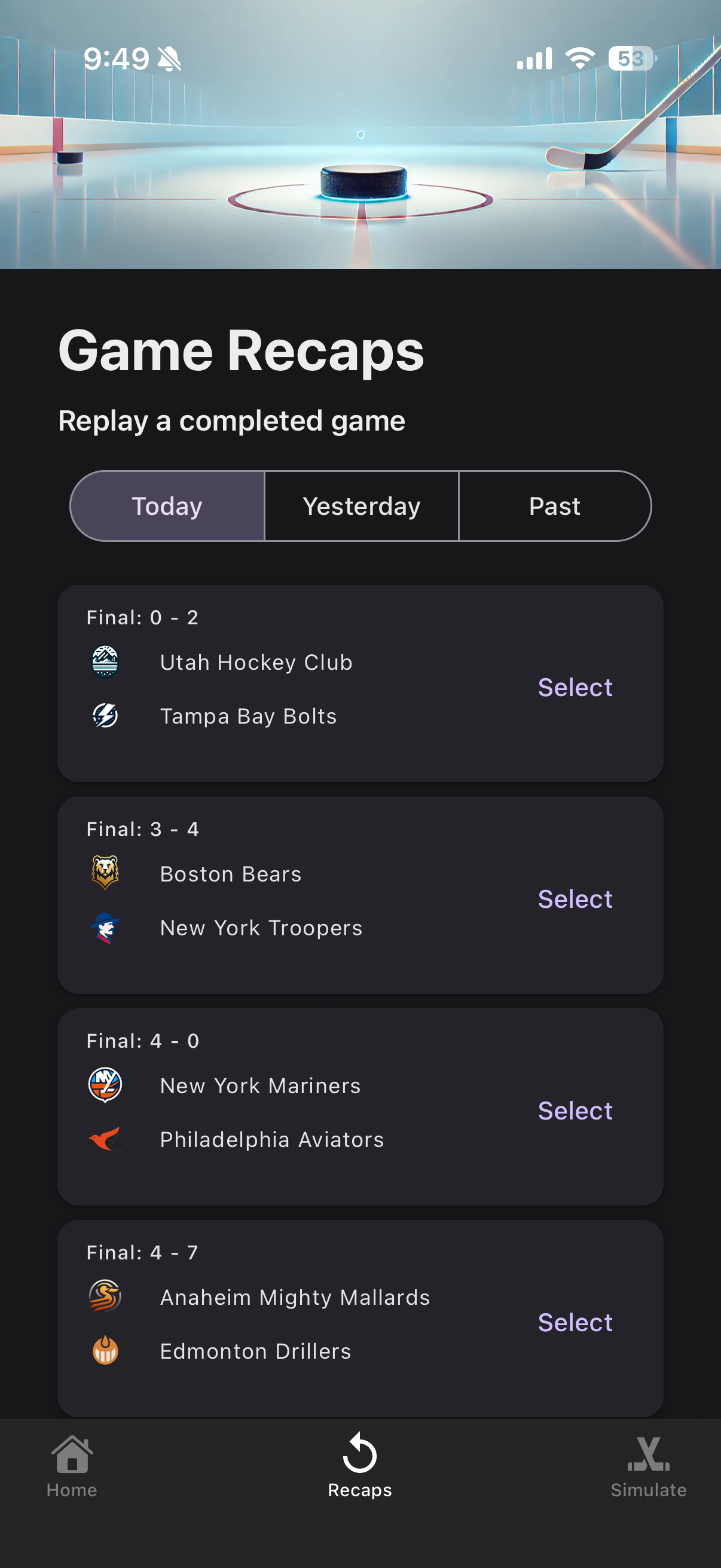 Pro Hockey Sim
