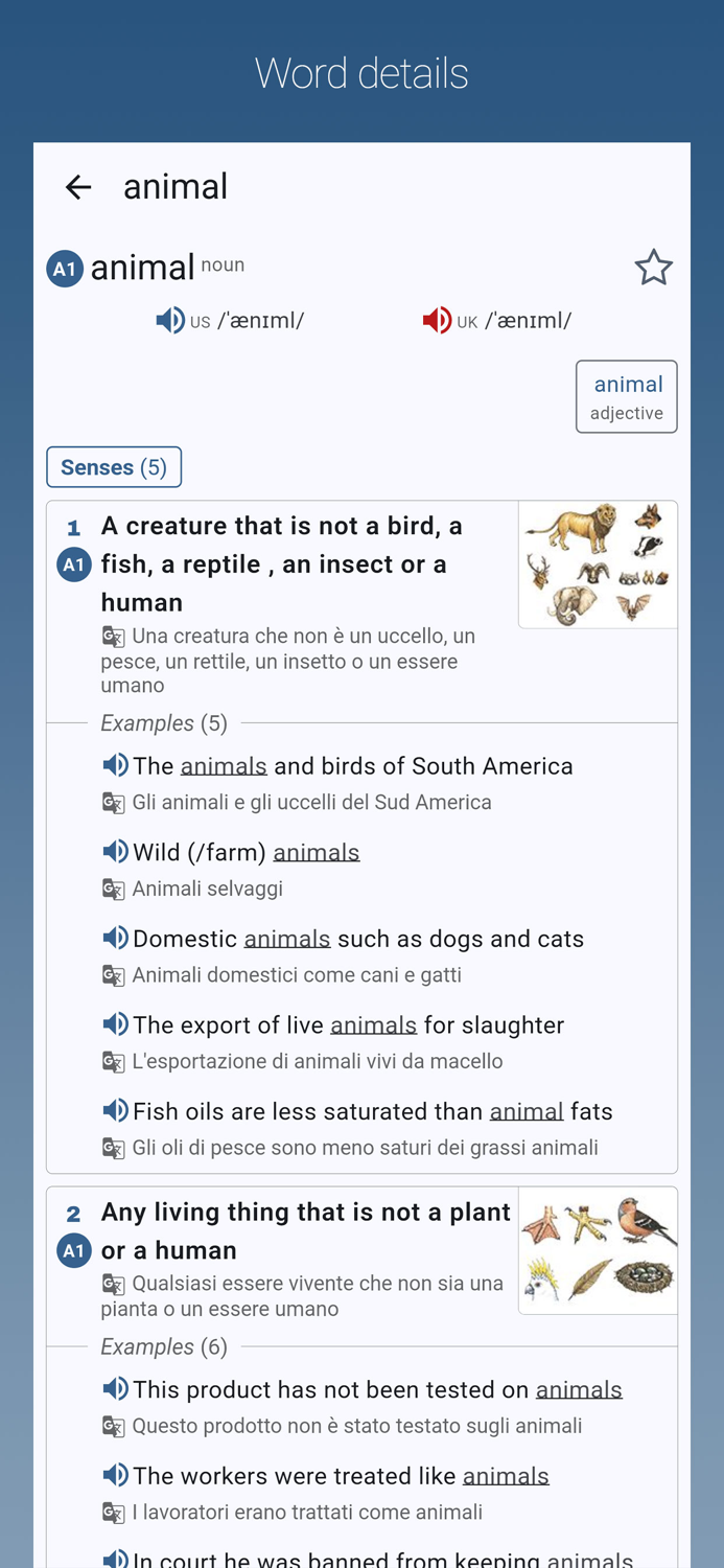 English-Italian Dictionary Pro