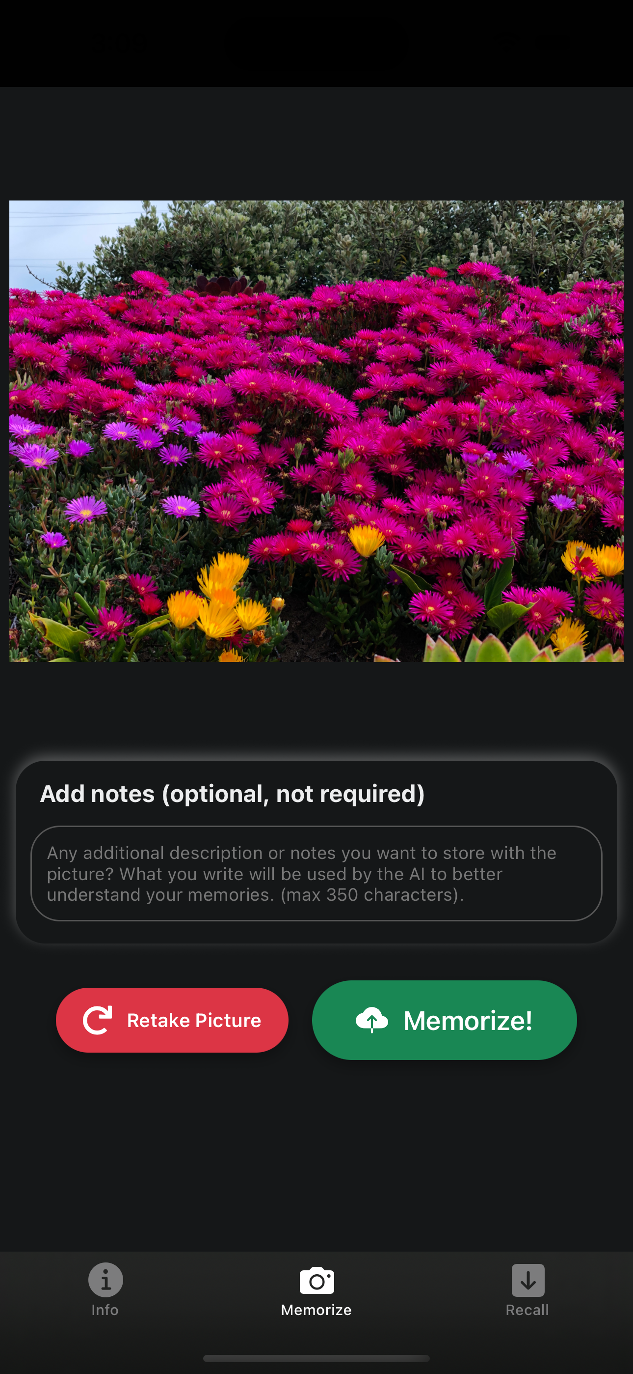 Snapback: Personal Memory screenshot 2