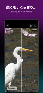 fabulaouscam screenshot 3