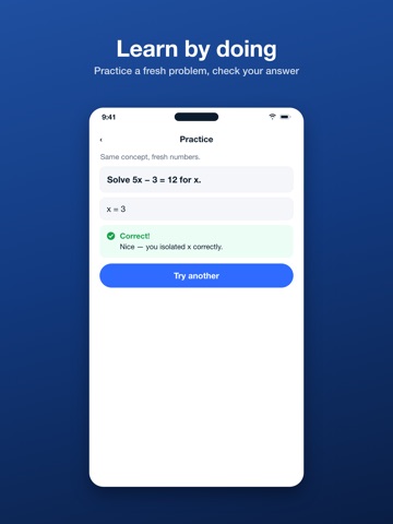 Solve It: AI Homework Helper iPad screenshot