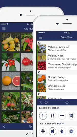 Früchte und Beeren PRO screenshot 2