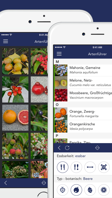 Screenshot #2 pour Früchte und Beeren PRO