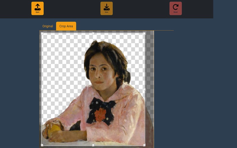 Offline Profile Picture Maker screenshot