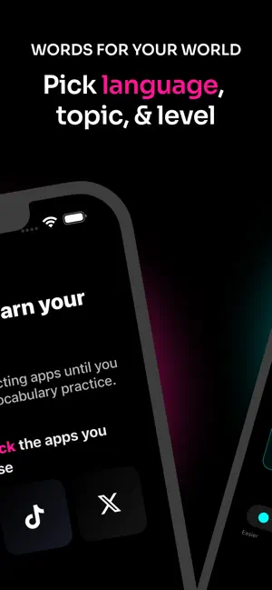 LingoLock screenshot 2