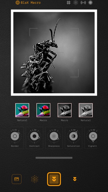 BlaX Macro Camera screenshot-4