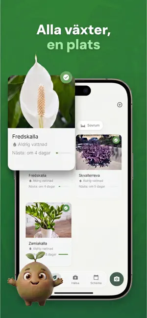 Växtidentifiering: Bloom iPhone screenshot 5