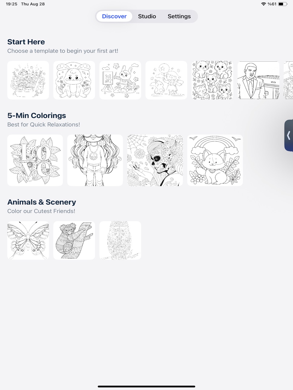 iPad screenshot