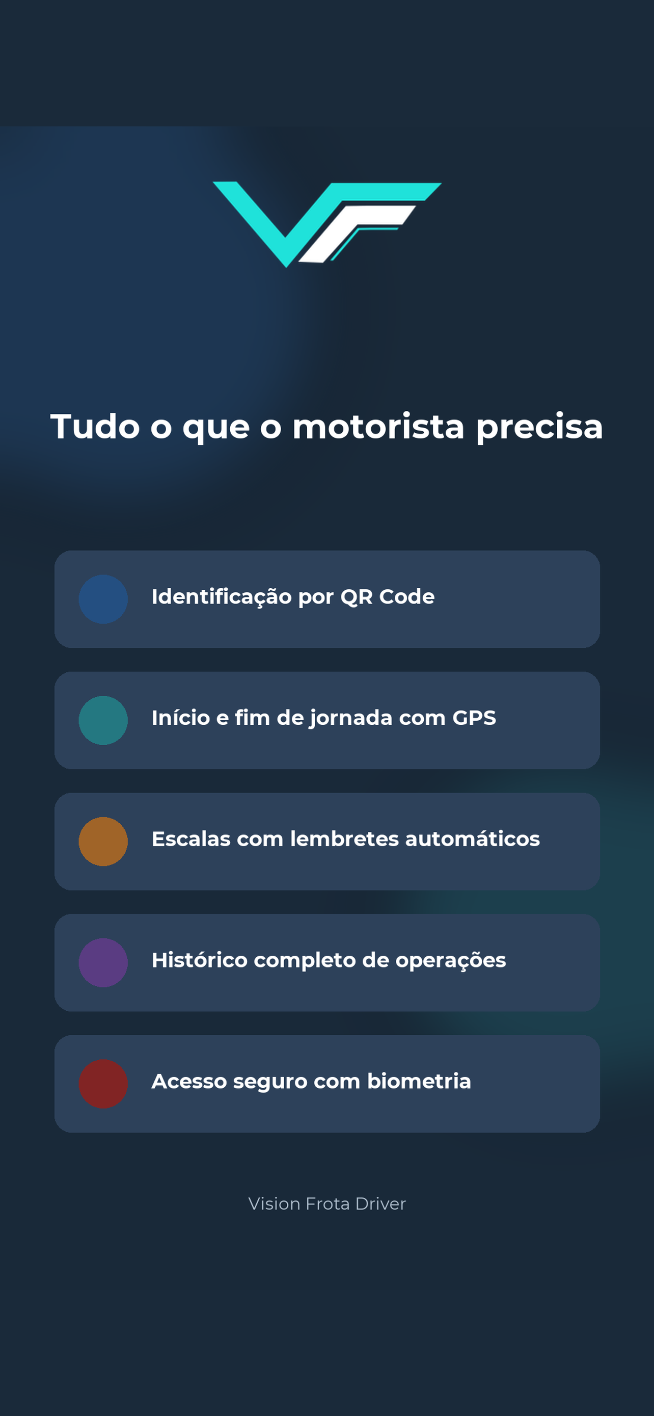 Vision Frota Driver