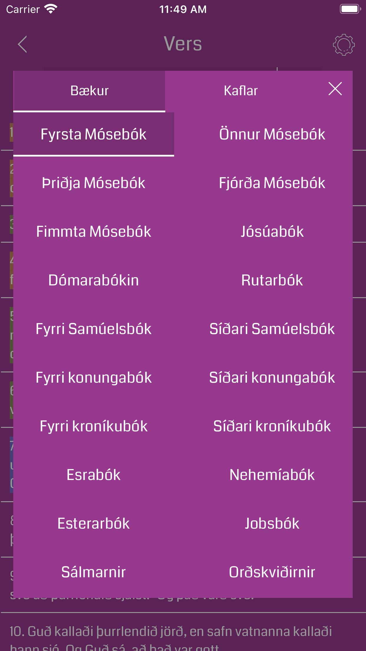 Icelandic Bible