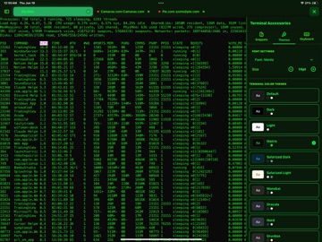 ShadowTerm ssh & mosh Terminal iPad screenshot