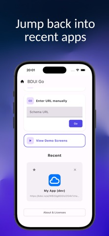 BDUI Go iPhone screenshot