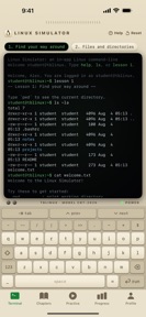 Linux Simulator screenshot