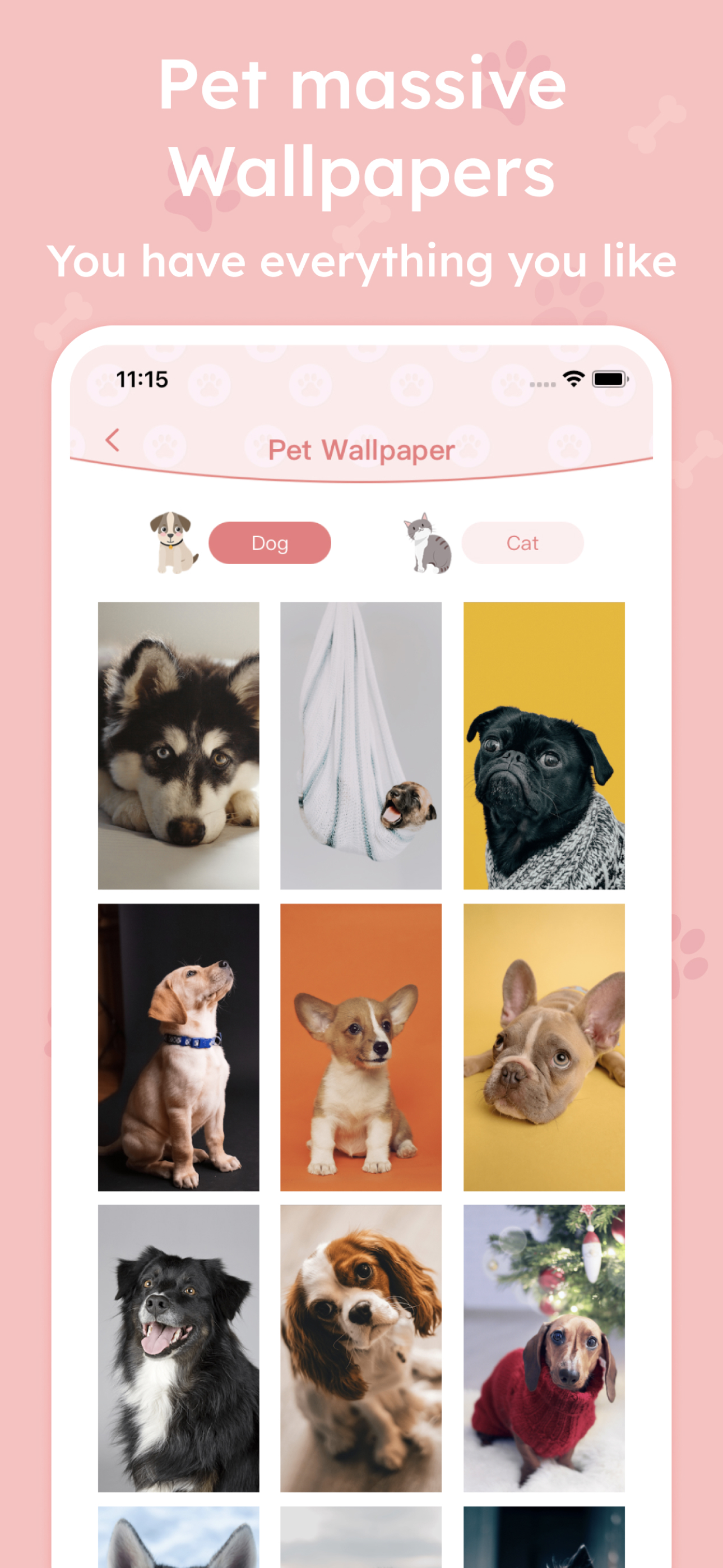 Pet Fun:Pet Training,Meow&Talk
