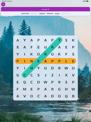Word Search — Puzzle Game iPad screenshot