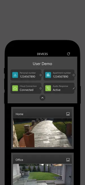 Ekinex Dico screenshot 1