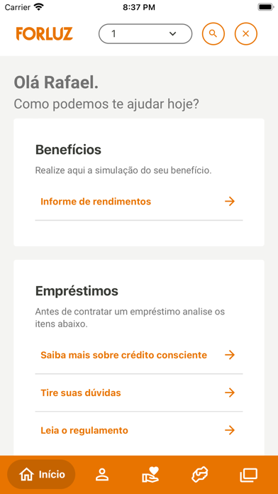 Forluz Screenshot