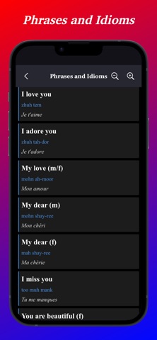 French Translator App iPhone screenshot