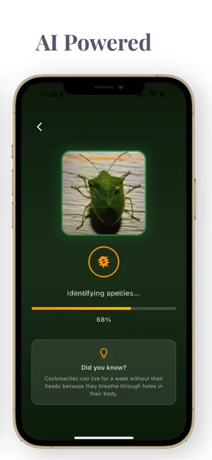 Insect Bug Identifier: Bug ID screenshot 4