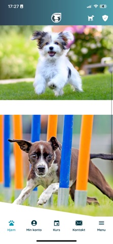 UniDog screenshot