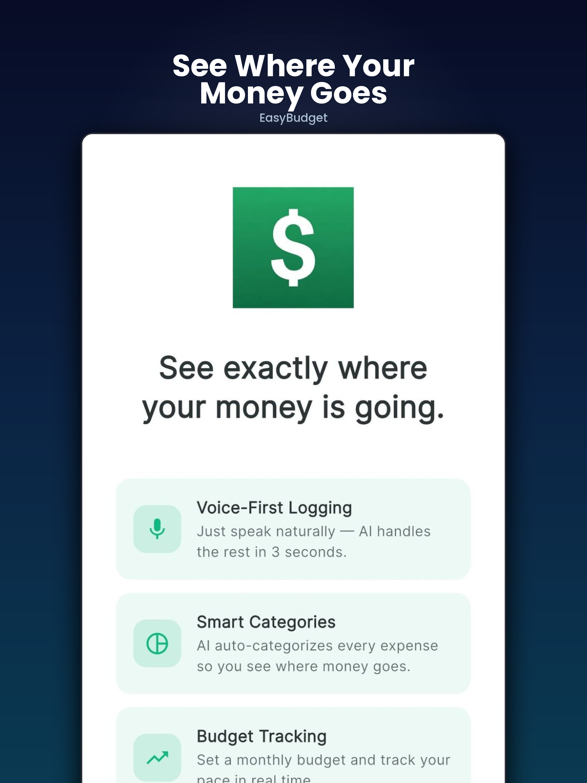 EasyBudget: Voice AI Tracker screenshot 10