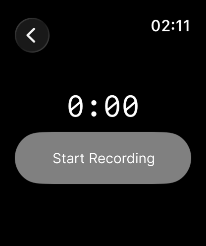 WristRec: Watch Voice Recorder screenshot 7