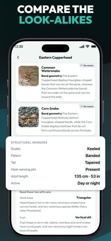 Primo Snake - Snake Identifier Screenshot 4 of 6