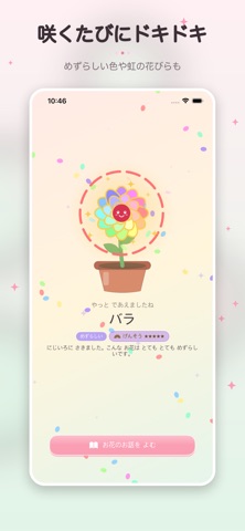 Flosome 3