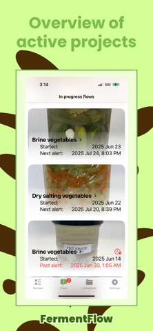 FermentFlow Screenshot 6 of 7