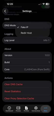 AMEO Clash VPN Screenshot 6 of 6