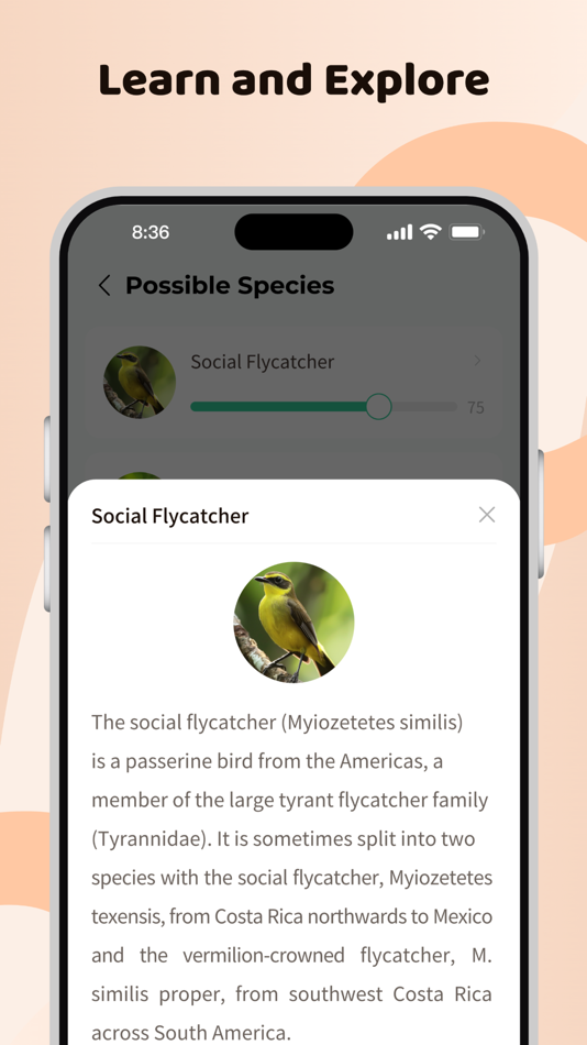 #5. CoolFly: More Than Birding (iOS) 由: Coolfly Inc