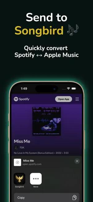 Songbird: Music Link Converter screenshot 2