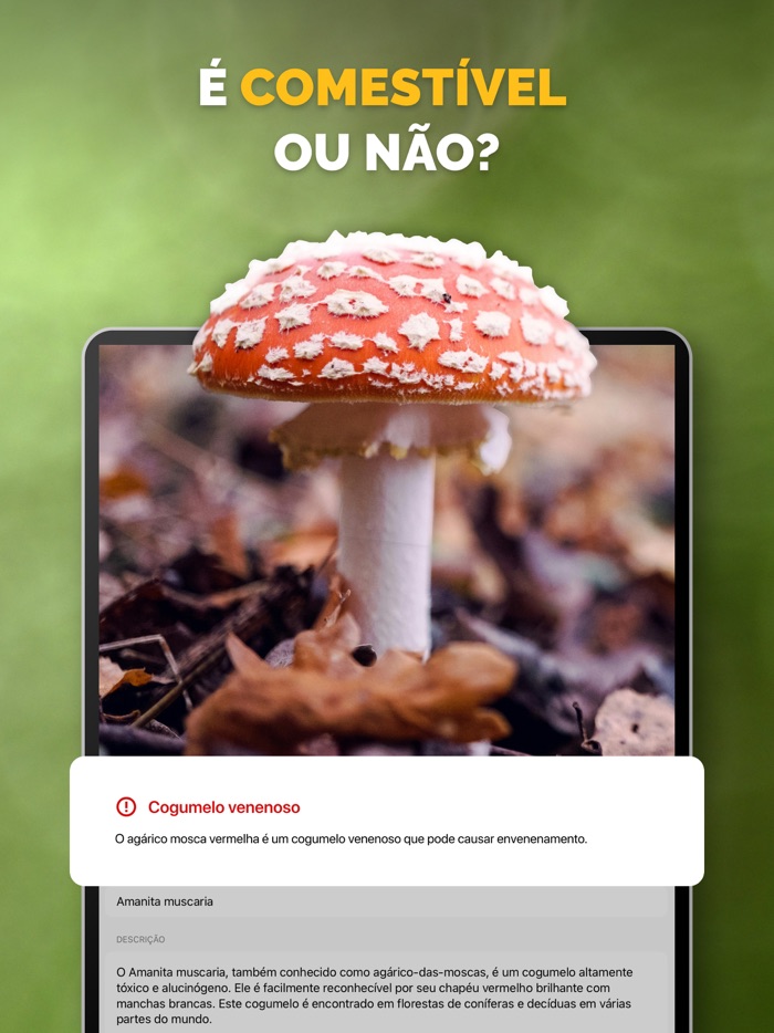 Identificador de cogumelos