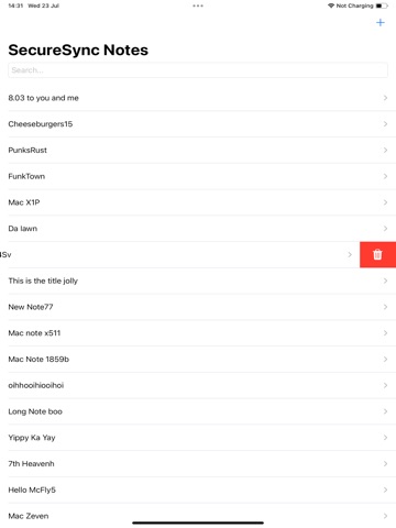 SecureSync Notes iPad screenshot