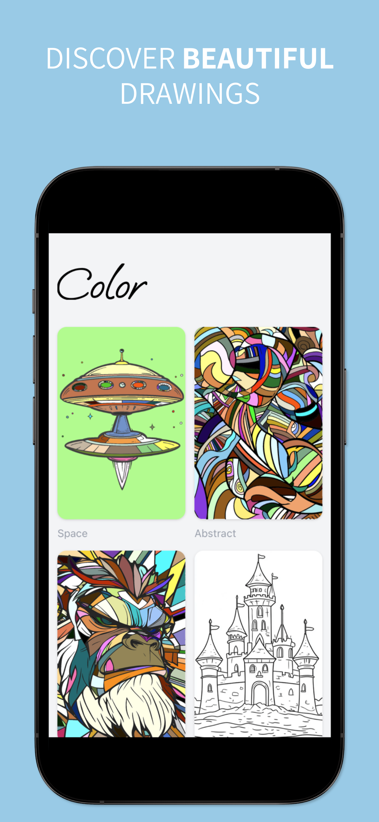 Color: Adult Coloring Book