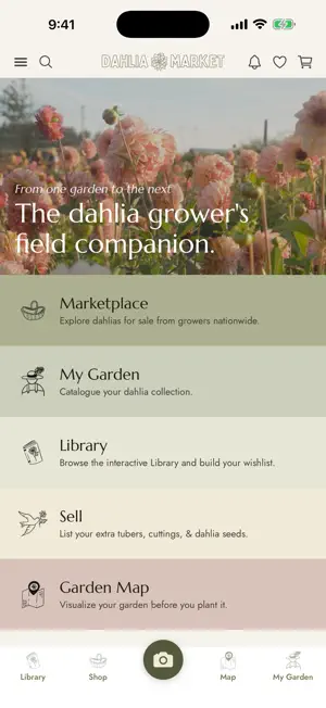 Dahlia Market screenshot 3