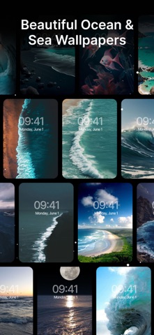 Gallerie Wallpapers: 4K & Live screenshot 5