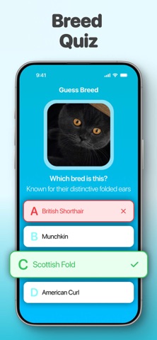 Cat Translator: Talk to Cats + iPhone screenshot