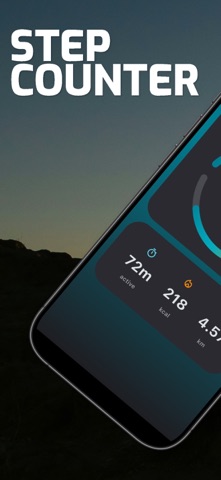 台阶计数器 screenshot