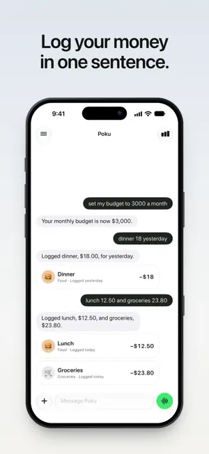 Poku: Money Manager & Budget screenshot 1